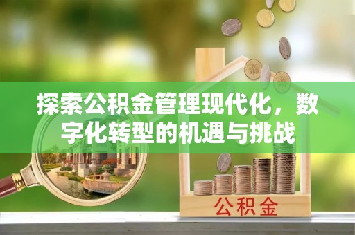 响水探索公积金管理现代化，数字化转型的机遇与挑战