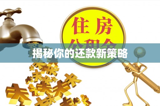 响水揭秘你的还款新策略