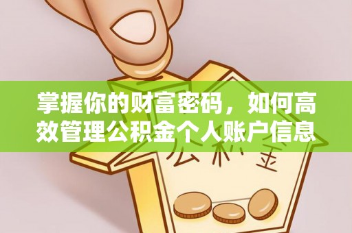 响水掌握你的财富密码，如何高效管理公积金个人账户信息