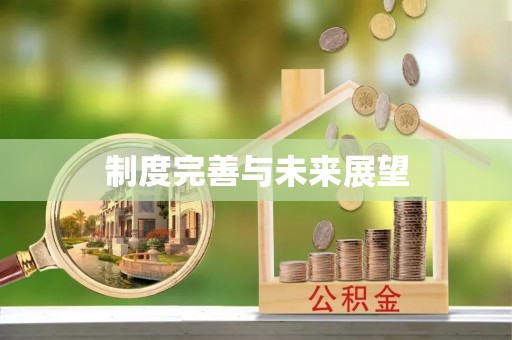 响水制度完善与未来展望