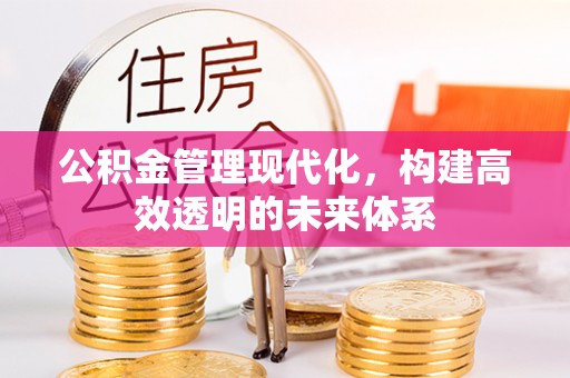 响水公积金管理现代化，构建高效透明的未来体系