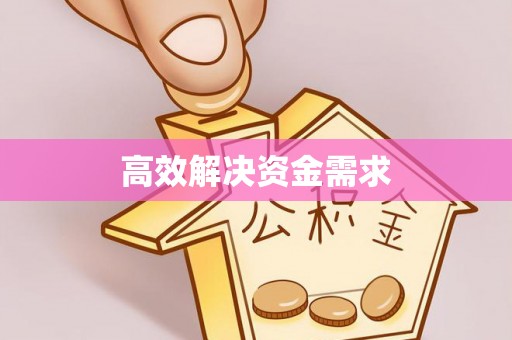 响水高效解决资金需求