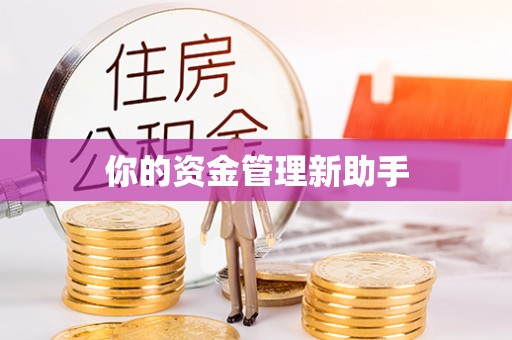 响水你的资金管理新助手
