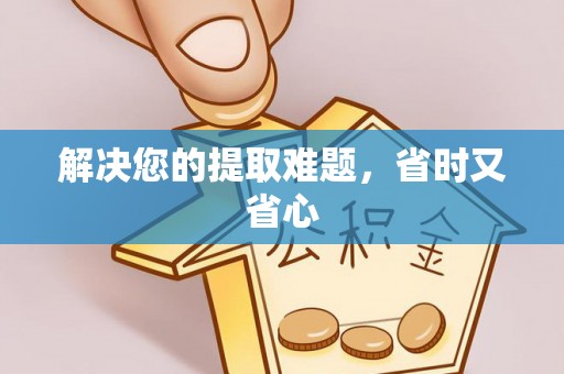 响水解决您的提取难题，省时又省心